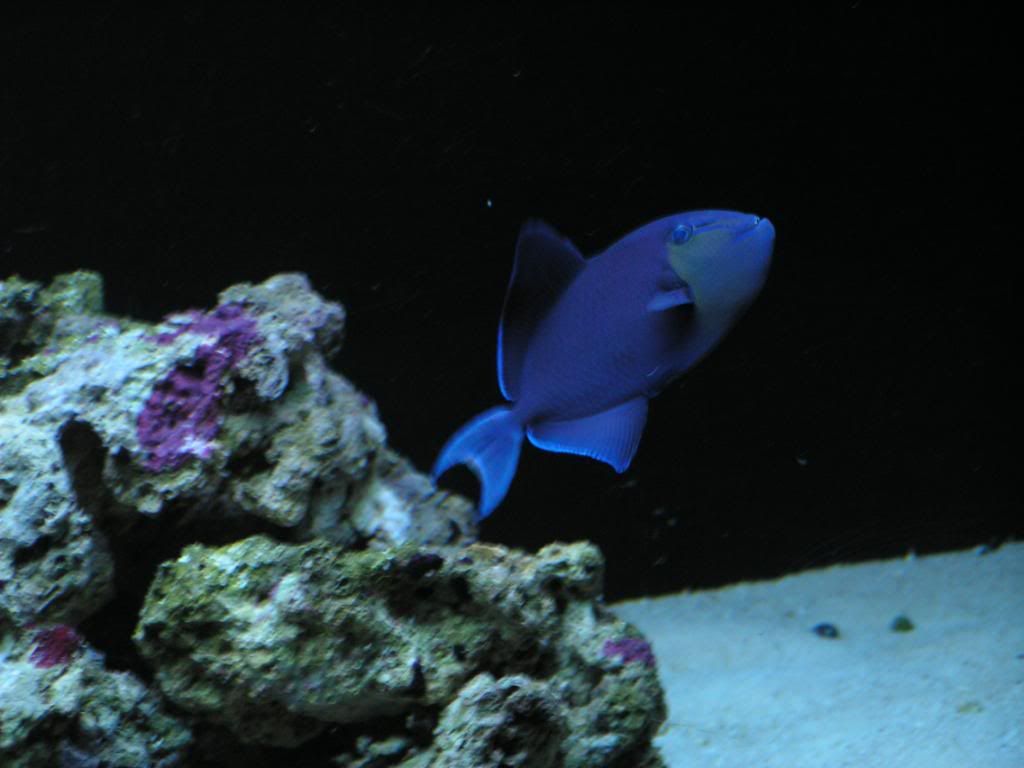 PICT0819.jpg