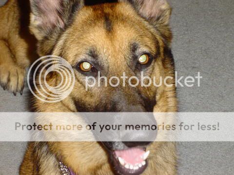 PrettyMaggie.jpg