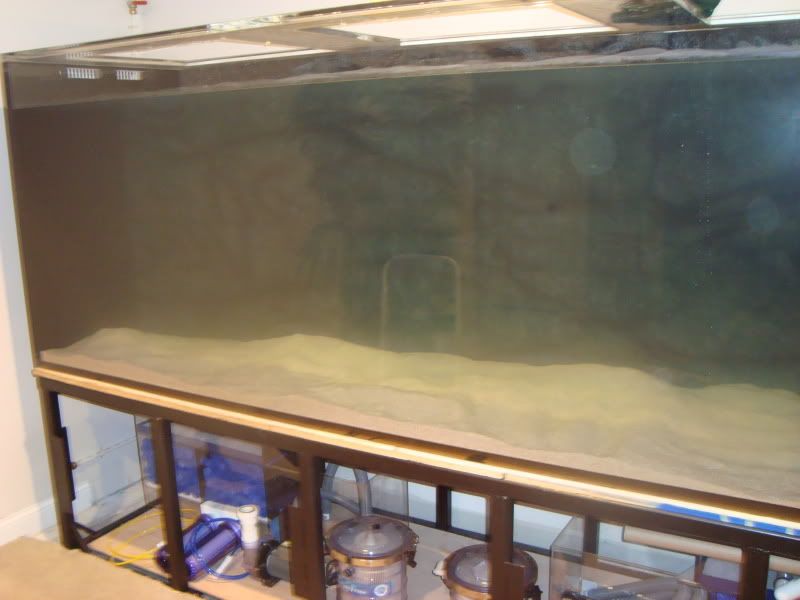 fishtankbuild2030.jpg