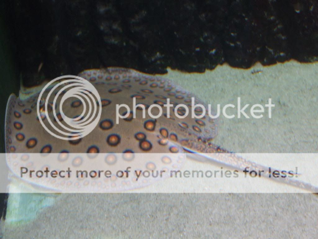DSCF1279.jpg