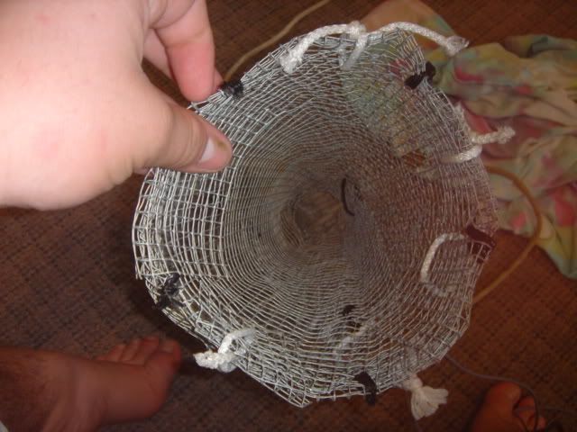 DSC00753.jpg
