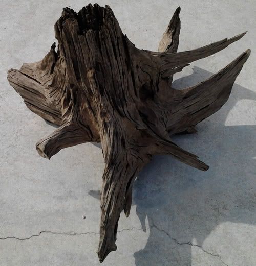 dw01.jpg