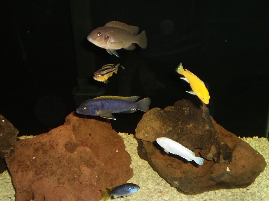 Fish057.jpg