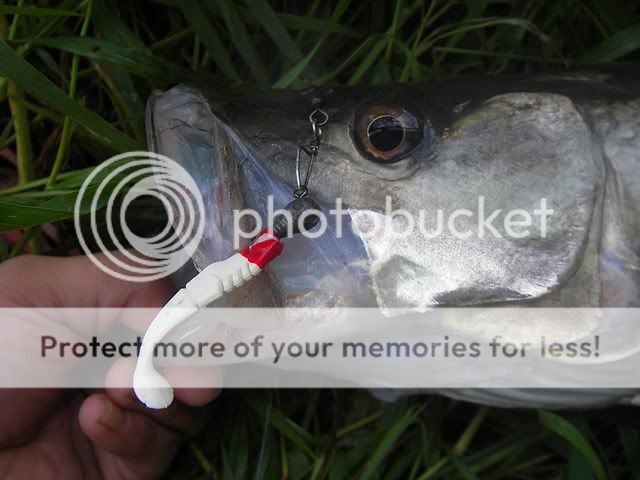 GPSNOOKSAMEDIMATIN.jpg