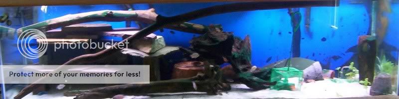 125gal03.jpg