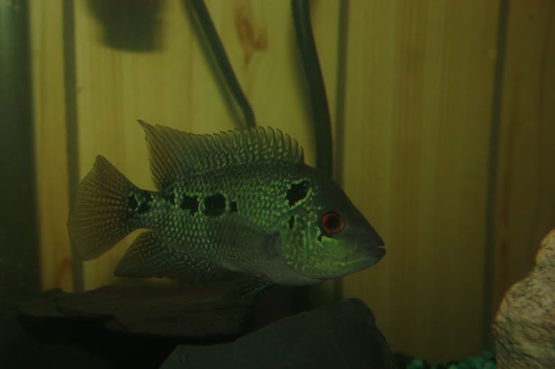 _MG_7612.jpg