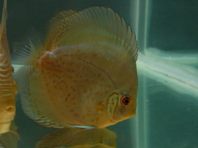 P1030636.jpg