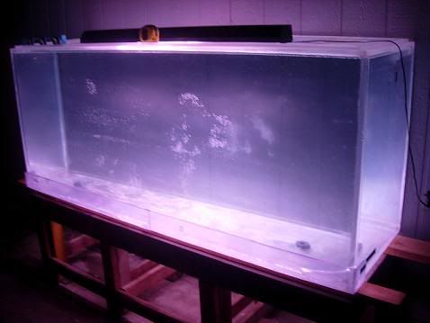 DSCN2912.jpg