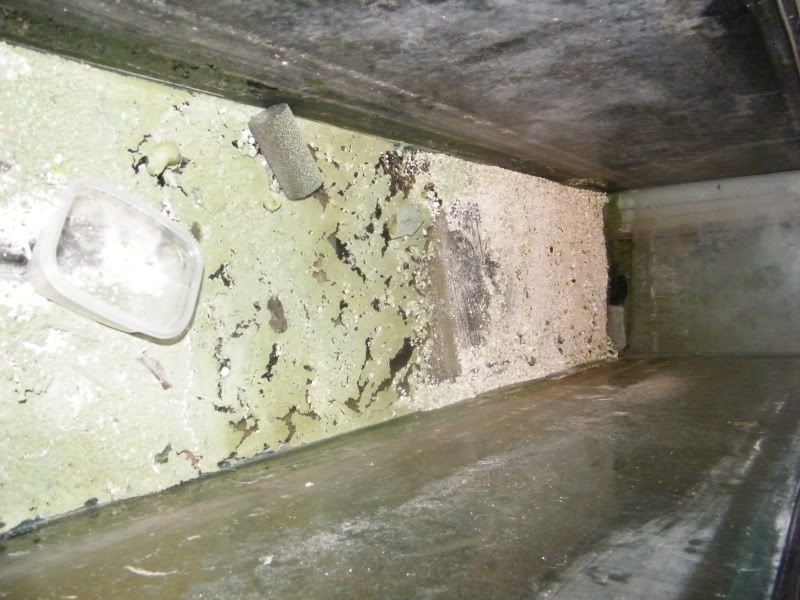 DSCF0785.jpg