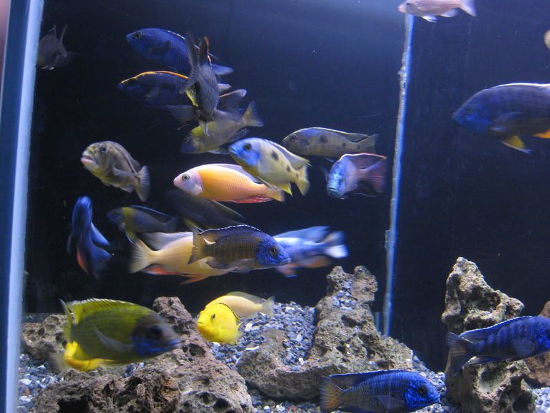 IMG_4279.jpg