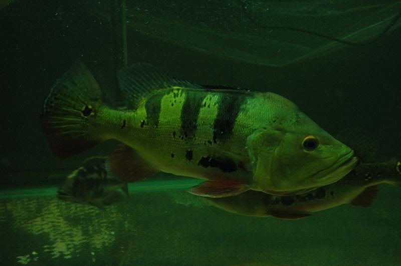 DSC_8759.jpg