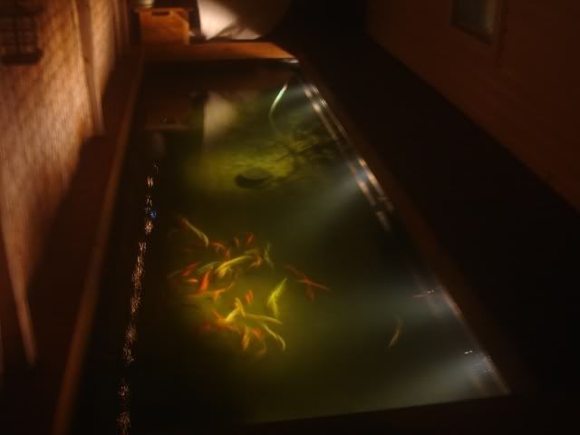 DSC00096.jpg