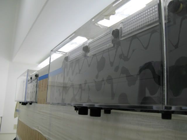 2012-01-13002001.jpg