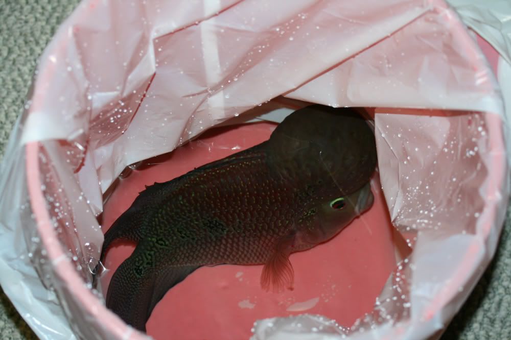49ccd5f5.jpg