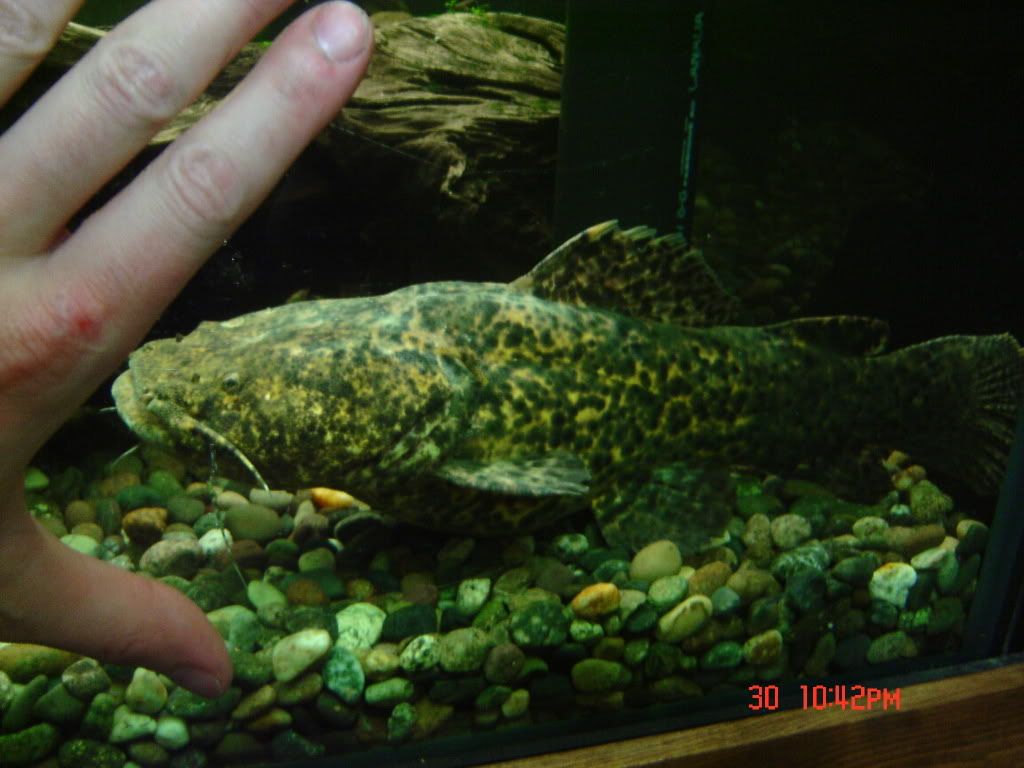 DSC04105.jpg