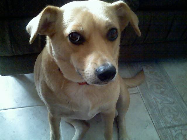 072306_10421.jpg