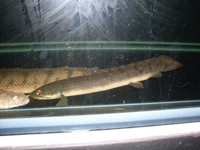SDC10033.jpg