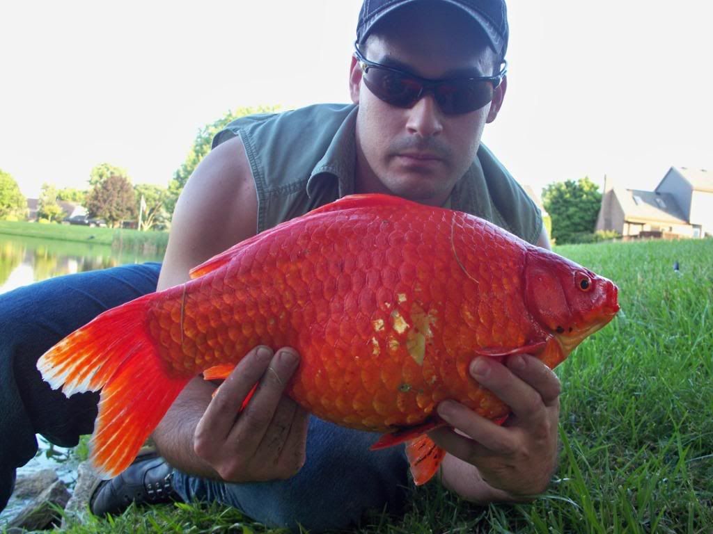 fishn016-1.jpg