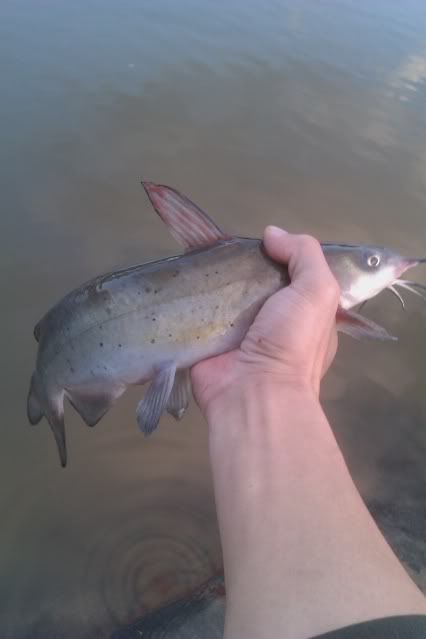 IMAG0576.jpg