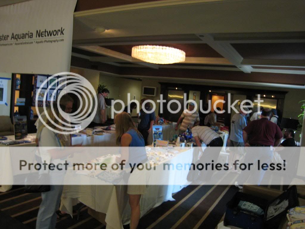 IMG_9263.jpg