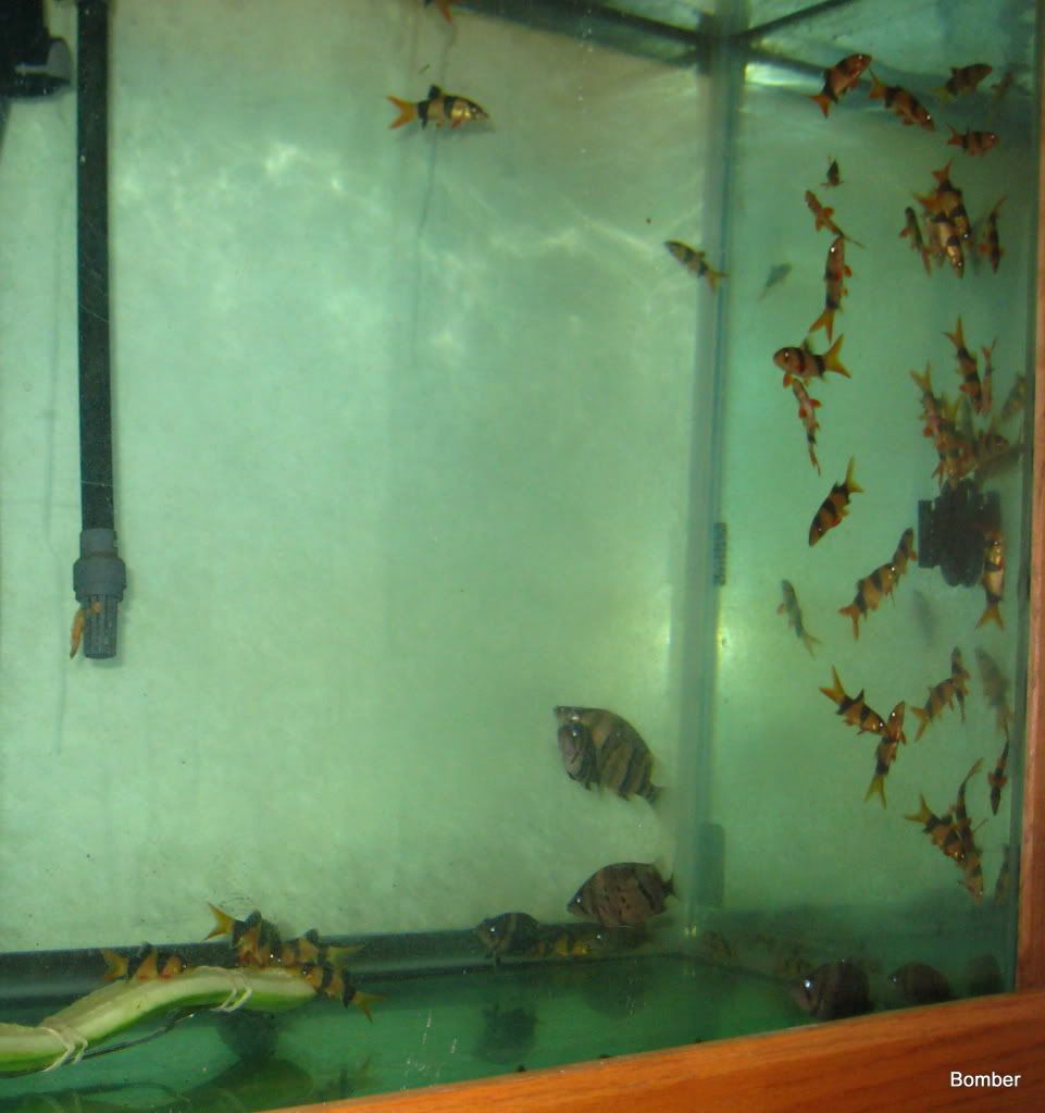 IMG_4960.jpg