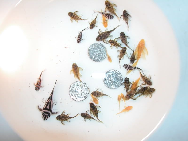 DSCN9737.jpg