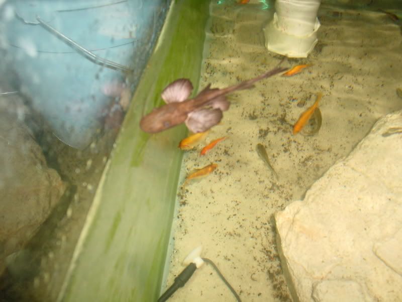 DSC00020.jpg