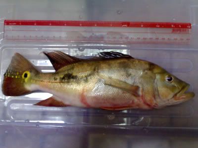 13092010251.jpg