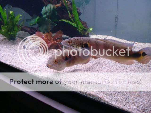 DSC03751.jpg