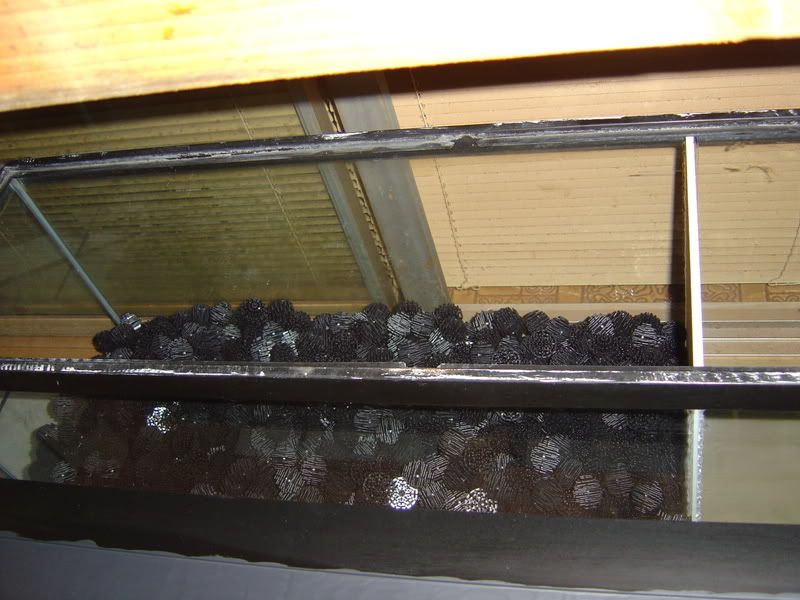 4-19-08007.jpg