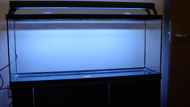 DSC03431.jpg