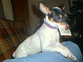 IMAGE010.jpg