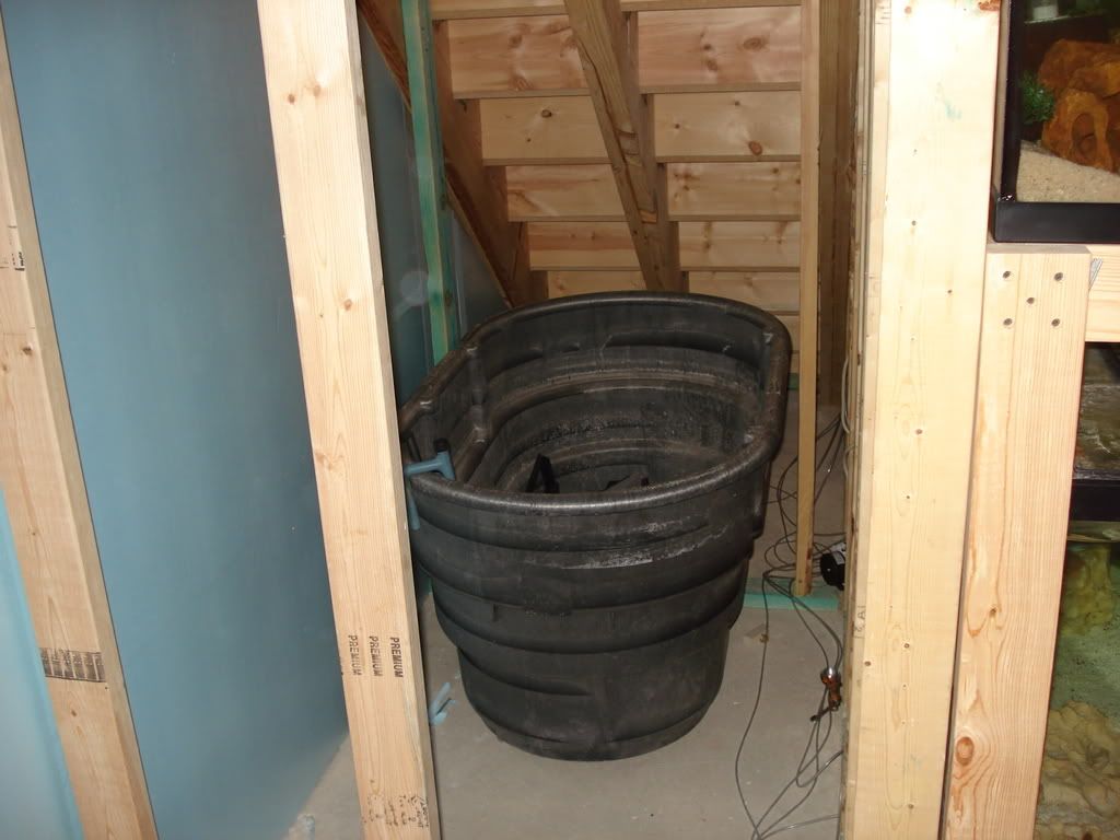 DSC01933.jpg
