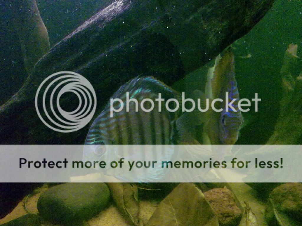 11062009198.jpg