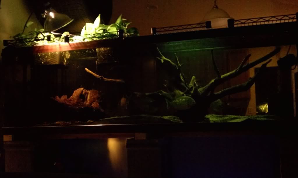 IMAG1141_zpse150f404.jpg