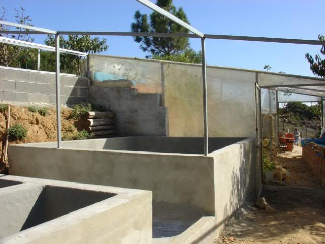 DSC08544.jpg
