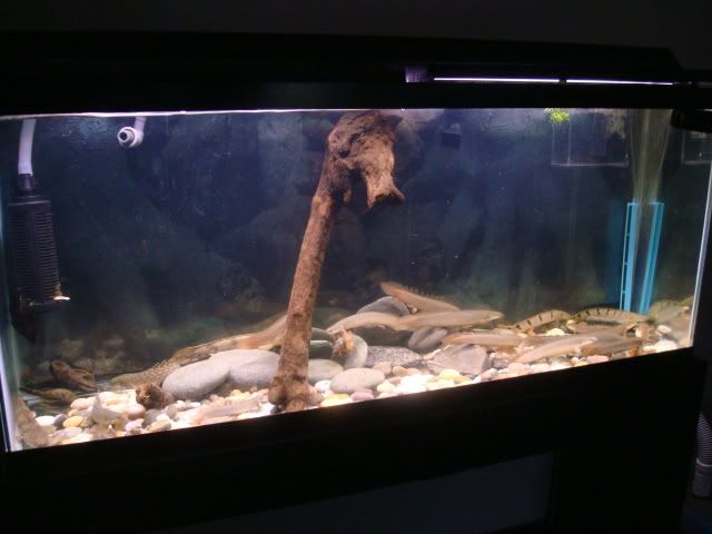 DSC08013.jpg