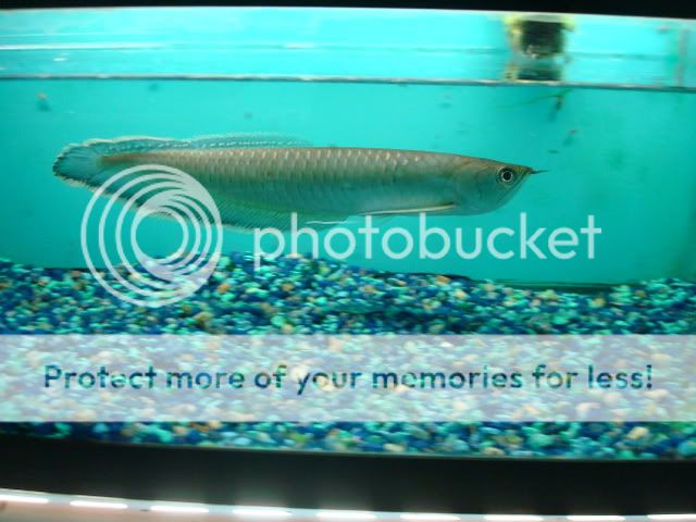 DSC05808.jpg