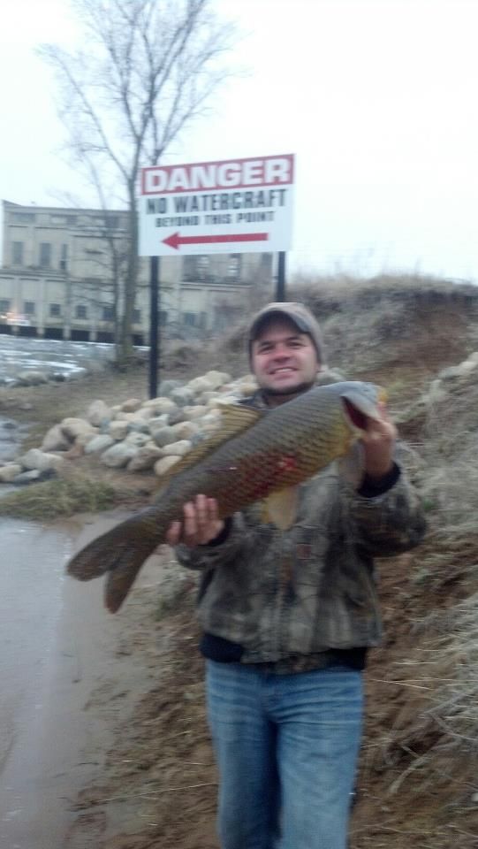 bowcarp_zps8be739fd.jpg