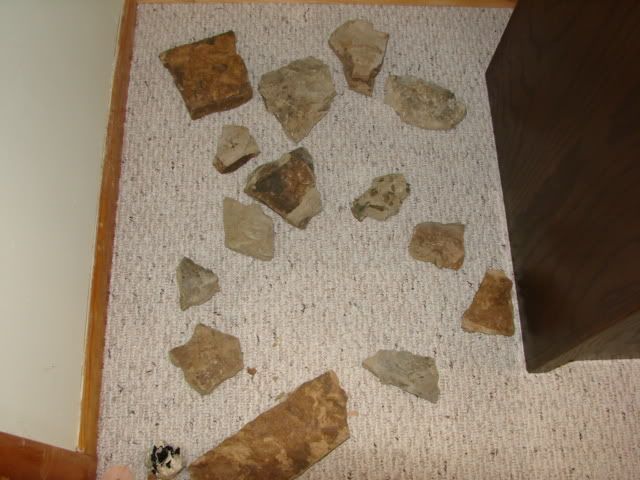 DSC03143.jpg