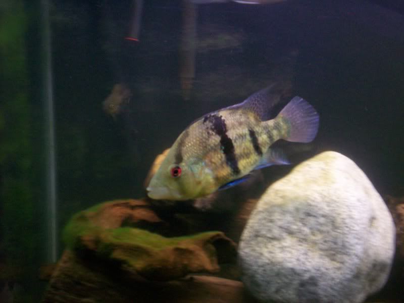 100_2094.jpg