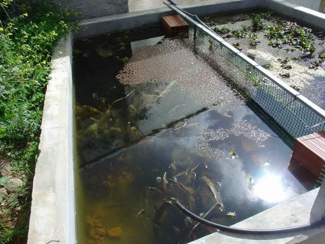 DSC00833.jpg