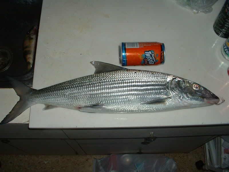 DSCF0076.jpg