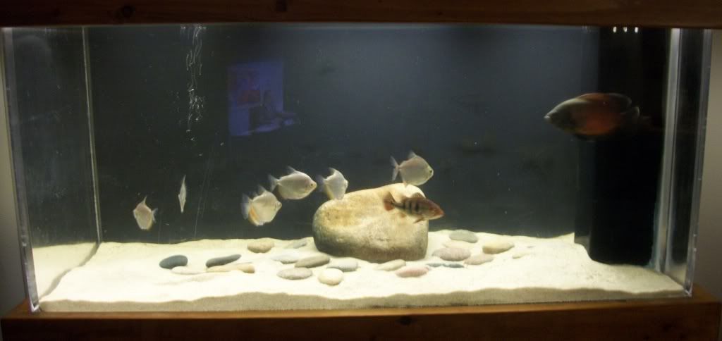 125gRemovedDecor-1.jpg