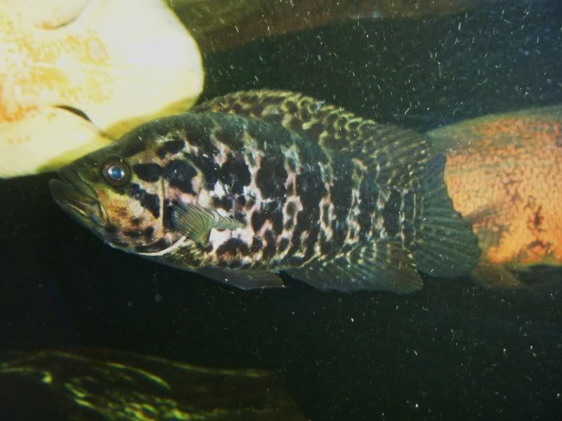 DSCF3293.jpg