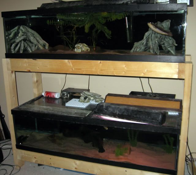 50gTanks1.jpg