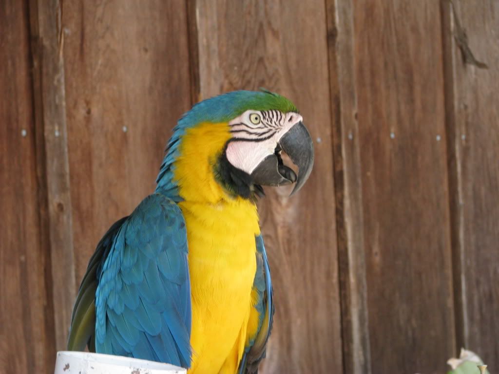 IMG_0765.jpg