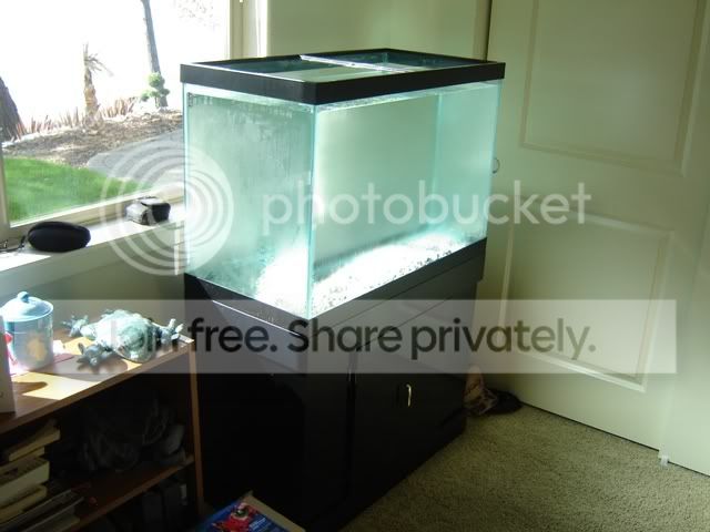 fishtank-1.jpg