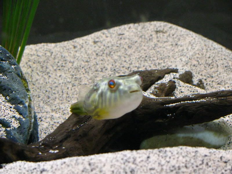 Picture020.jpg