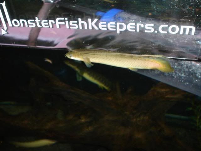 DSC08066.jpg